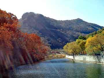 澳门天天免费精准大全，钢卷板